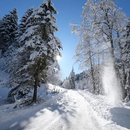 Kastnhaeusl - Urige Huette Mit Bergblick Chalet Oberau
