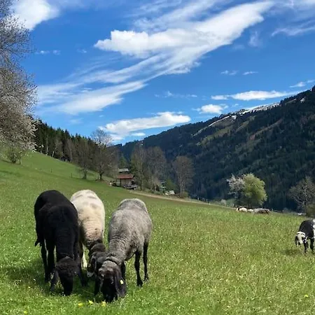 Kastnhaeusl - Urige Huette Mit Bergblick Oberau