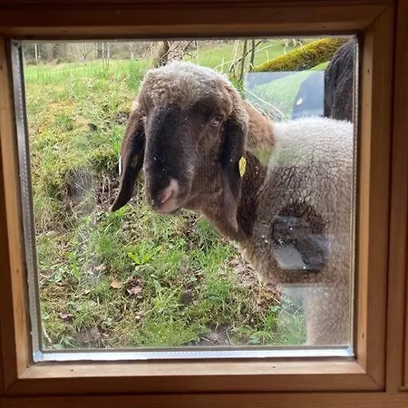 Kastnhaeusl - Urige Huette Mit Bergblick בקתה אובראו
